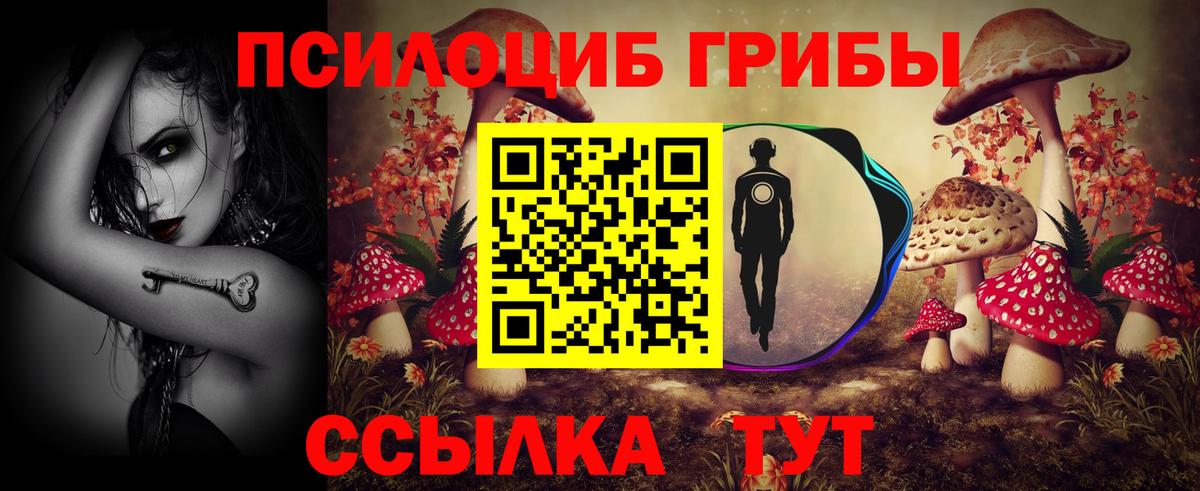 Гусев  Галлюциногенные грибы мицелий  Вход с VPN  Галлюциногенные грибы GOLDEN TEACHER 