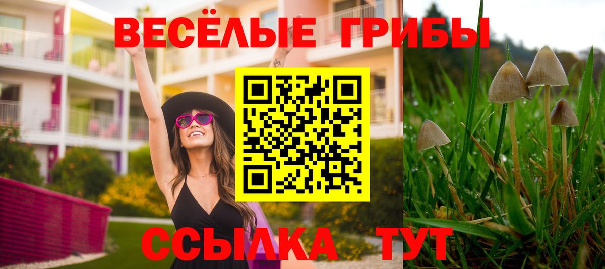 Псилоцибиновые грибы GOLDEN TEACHER Гусев